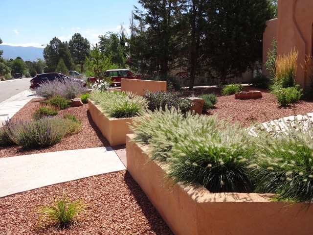 albuquerque-xeriscape-before-and-after-red-twig-studio-landscape