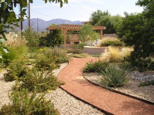 North Albuquerque Acres Landscape Design NM