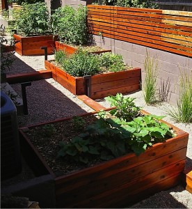 Mid Century Modern Landscape Design and Installation - Before and After Photos Albuquerque NM